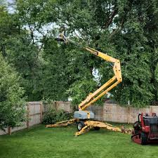 Professional Tree Removal and Landscaping Services in Twin Rivers, NJ